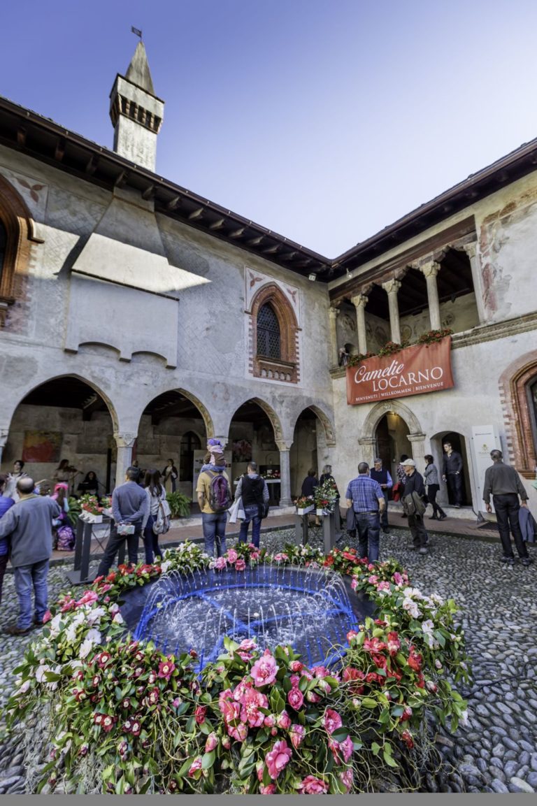 Camelie Locarno dal 21 al 25 marzo 2018 La 21 edizione fra musica e bellezze floreali